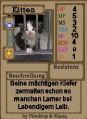 Cards-Kitten.jpg