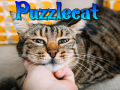 Title-Puzzlecat.png